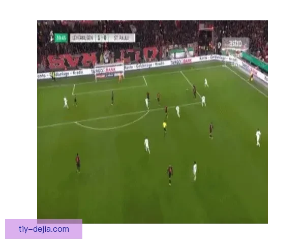 半场勒沃库森2-0双星破门