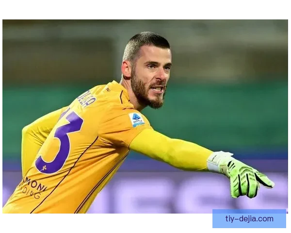 佛罗伦萨终训德赫亚所罗门缺席